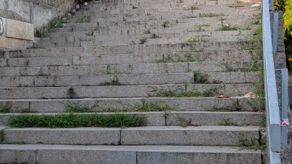 Сигнали за занемарен подлез, боклуци и опасни изсъхнали дървета в София и Бургас