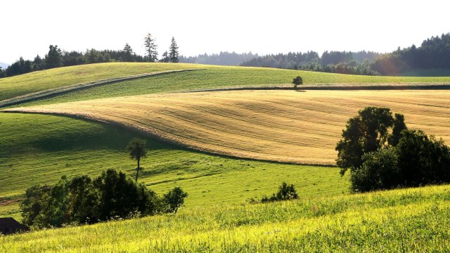 Безкрайни полета огромни фирми богати барони чешкото селско стопанство