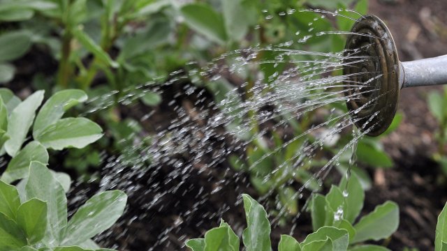 От днес в части на Англия влезе в сила забрана