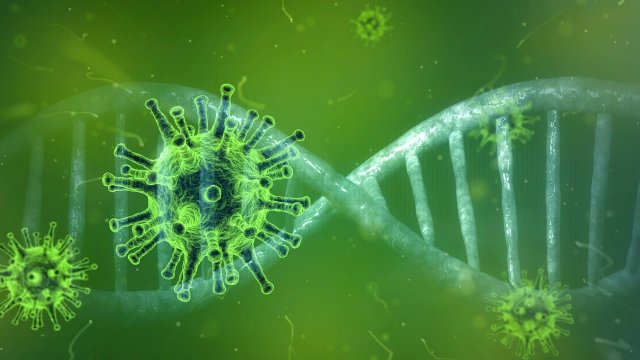 SARS CoV 2 може директно да зарази мастните клетки както и някои специфични имунни