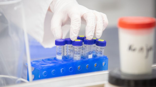 През изминалото денонощие броят на регистрираните случаи на коронавирус в