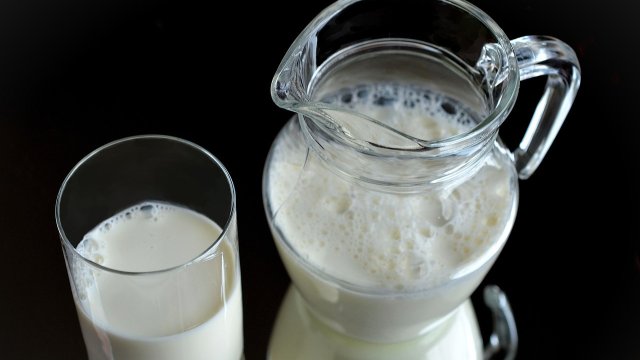 Киселинността на цитрусовите плодове може да доведе до подсичане на млякото в стомаха ви.