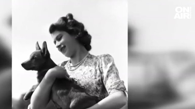 Кучетата на кралица Елизабет II ще имат нов стопанин