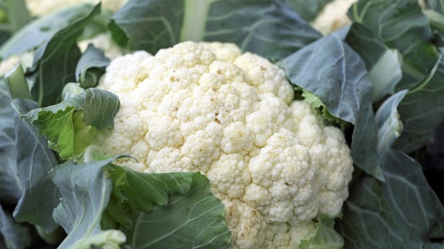 Няколко проучвания са показали че редовната консумация на зеленчуци от