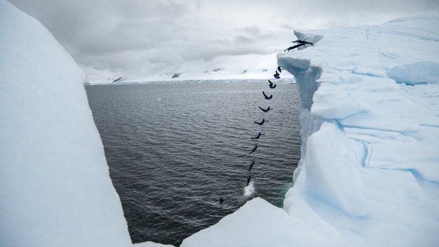 Голям айсберг се е откъснал от Антарктида съобщи Британската антарктическа