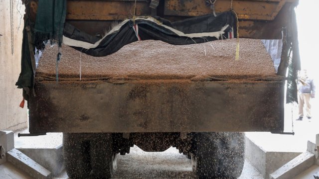 Гръцки фермери напоследък внасят фураж от България Скъпите хранителни продукти