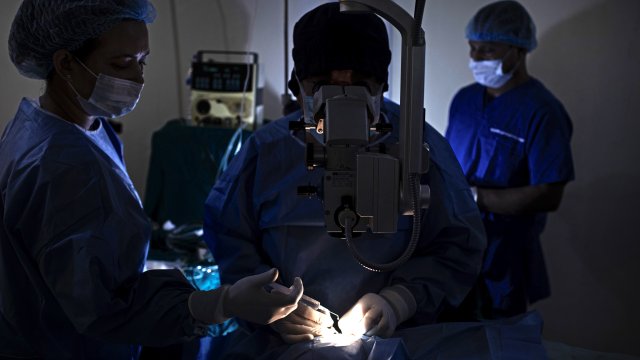 През април 2021 година двама японци са получили трансплантация на