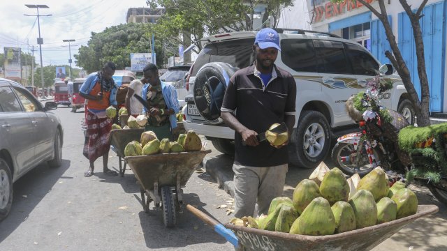Папа Франциск призова за международна помощ за Сомалия която е