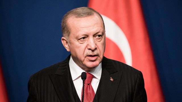 Турският президент Реджеп Тайип Ердоган призова Русия и Украйна незабавно да
