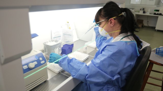 228 са новозаразените с коронавирус в България за последното денонощие при