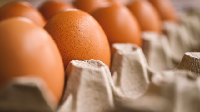 Производителите на яйца в България очакват цената им да продължи