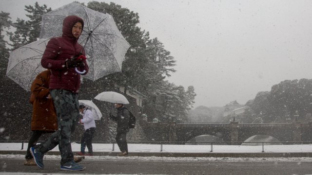 Най малко 8 души загинаха и 45 бяха ранени в различни