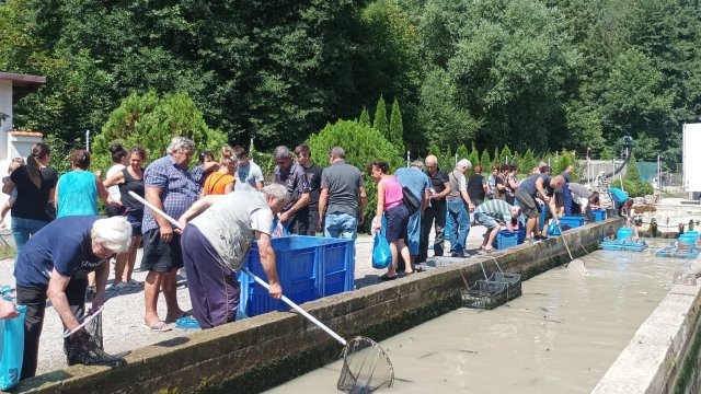 Обявено е бедствено положение в община Своге Причината е пресъхването
