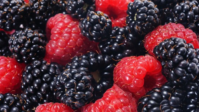 Сърдечните заболявания представляват почти една трета от всички смъртни случаи