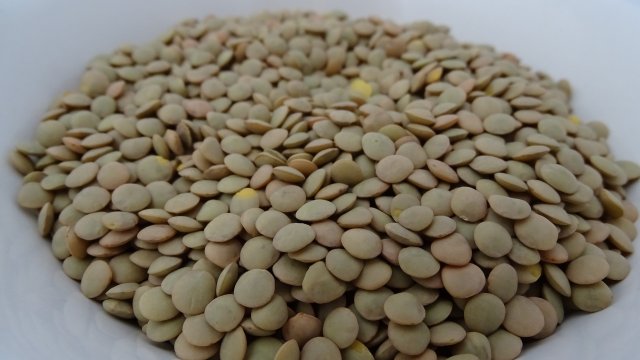 Всяка храна носи енергия Всичко което ядем през деня ни