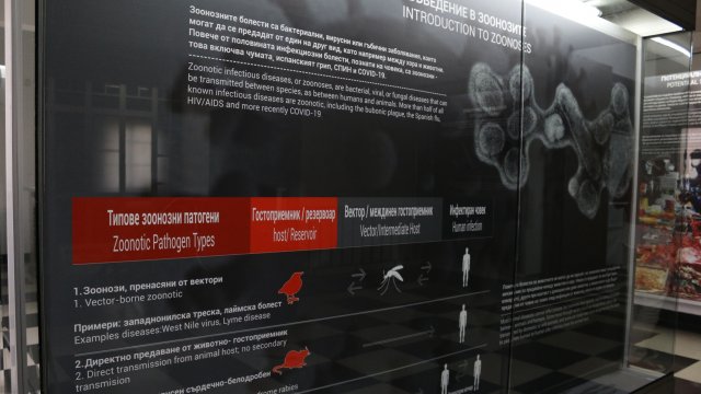 Виртуални посещения в БАН по време на Европейската нощ на учените