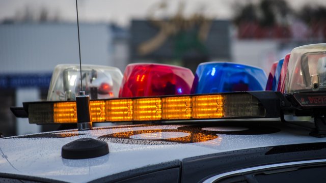 Агенти на Националната полиция на Испания са конфискували в Бургос