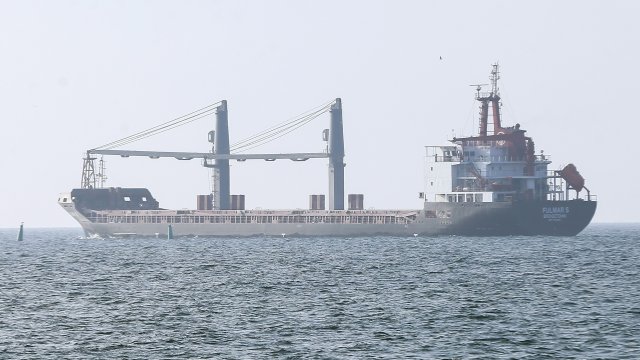 Още два кораба със зърно потеглиха от украински пристанища в