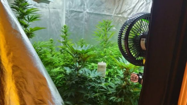 На 16 февруари служителите от сектор Оперативно издирвателна дейност извършили проверка