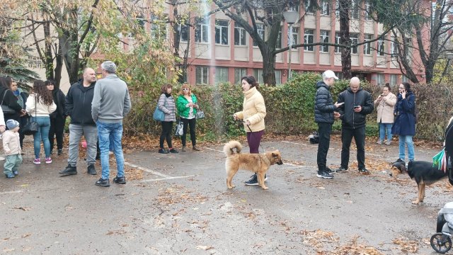 Продължават протестите срещу насилника на кучето Мечо. Този път недоволството