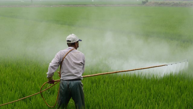 От главоболие обриви и припадъци до диабет астма и ракови