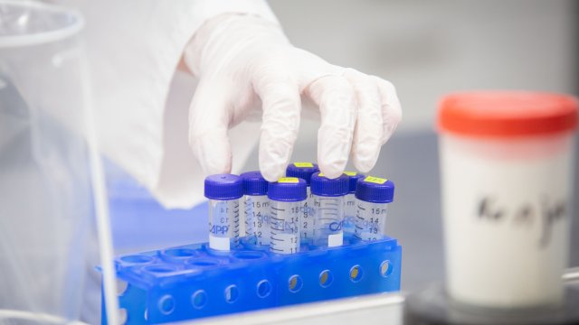 Великобритания отчете най високия брой заразявания за денонощие от началото на