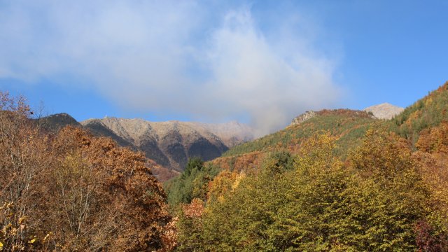 12 пожарникари и горски работници от Горско стопанство Рилски манастир