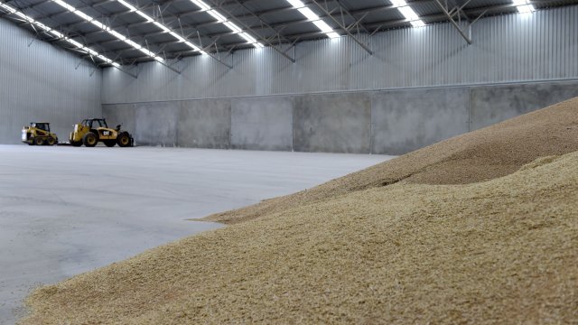 В Египет пристигна първата пратка пшеница от Индия, съобщи ръководителят