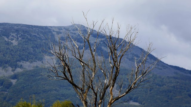 Днес облачността ще е значителна предимно висока Привечер от югозапад