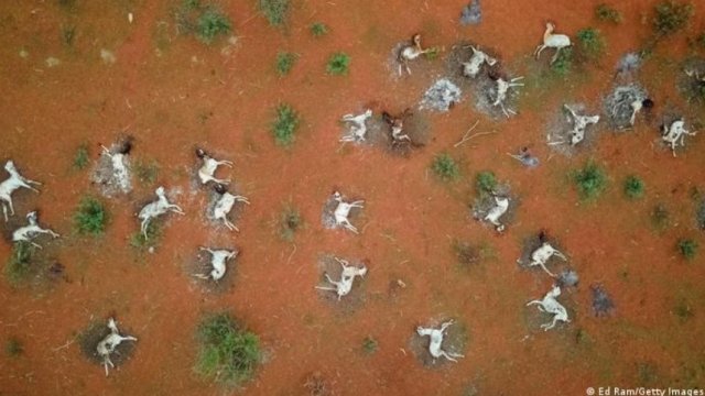 Преди около 65 милиона години измират динозаврите последното голямо