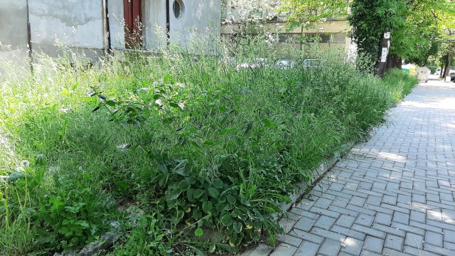 В разгара на пролетта здравните власти предупредиха за бум от