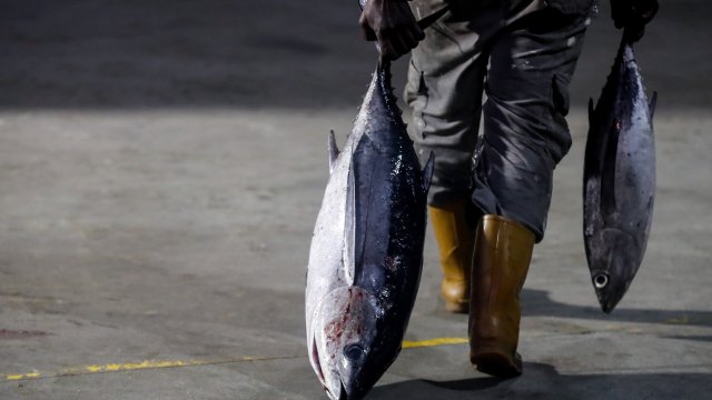 Въпреки че рибата обикновено се смята за здравословна храна в