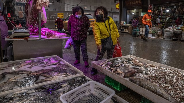 Откриването на бактерия която е предизвикала развитието на холера у