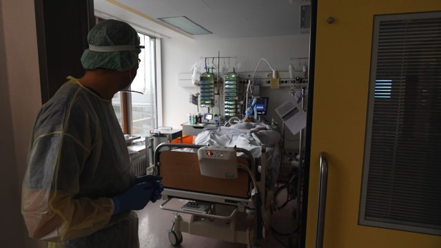 Все повече хора изпитват силен страх гледайки как стремглаво растат