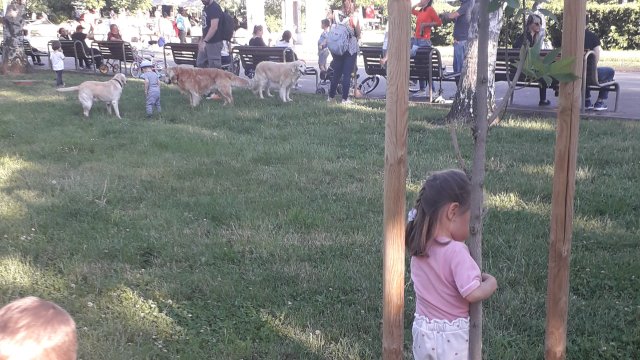 В платформата на за пореден път ни сигнализираха за безотговорни