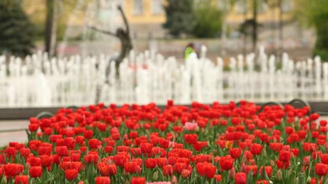 Днес времето над страната ще бъде слънчево Ще духа слаб
