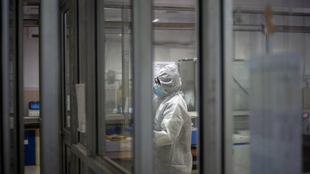 Маймунската шарка все още не е глобална спешна ситуация заяви