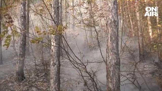 Пожар избухна в Стара планина над Карлово Сигналът е получен