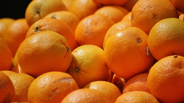 Милиони кашони с портокали се развалят в контейнерите блокирани на