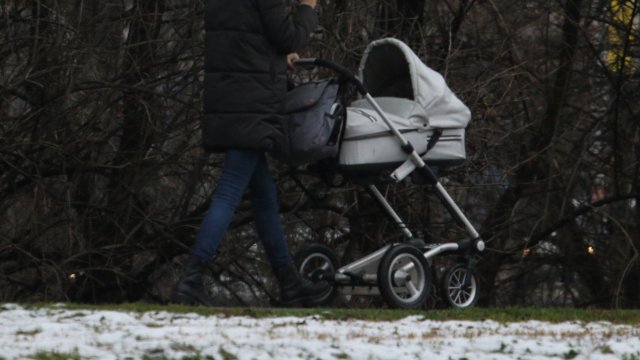 Централните и териториалните органи на изпълнителната власт са длъжни да