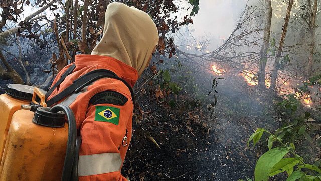 Броят на горските пожари в Амазония за изминалите 9 месеца
