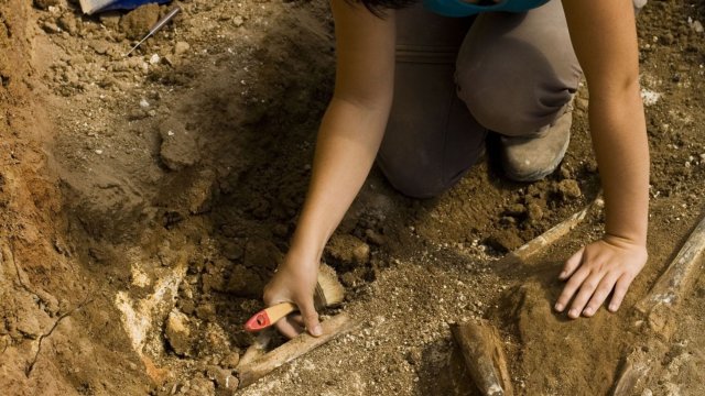 Това откритие има огромно значение за историята на човечеството каза