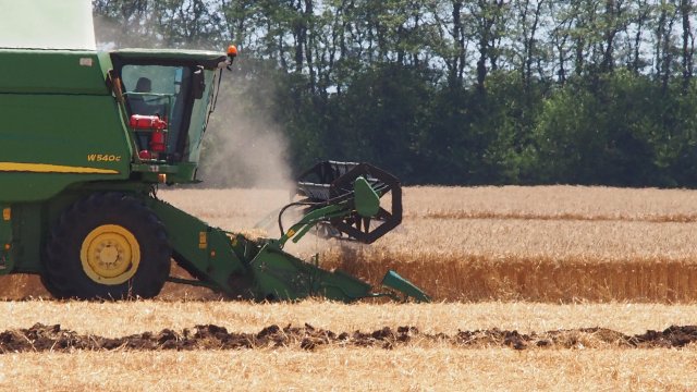 Очакваната реколта от пшеница е между 5 9 и 6 2 милиoнa