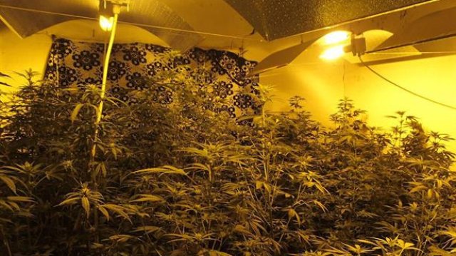 Оперативните действия за пресичане на незаконна дейност свързана с производство