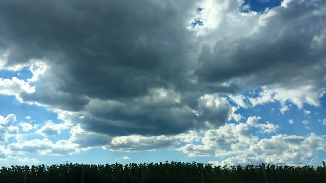 Над Западна България облачността ще е променлива а над Източна