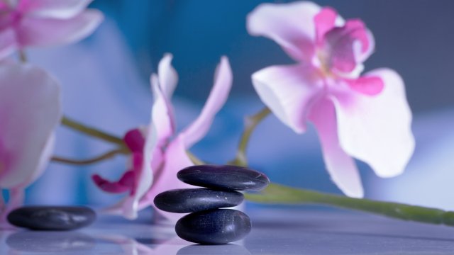 В очакване на новата 2023 година любопитството ни и този