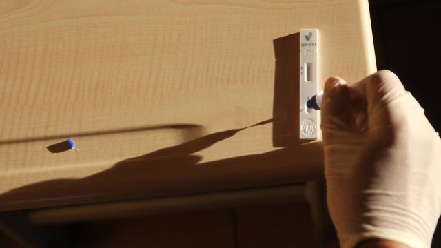 Ако половината от учениците в дадена паралелка имат зелен сертификат