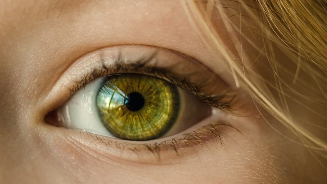 Анализирайки ретината с помощта на изкуствен интелект можем да определим