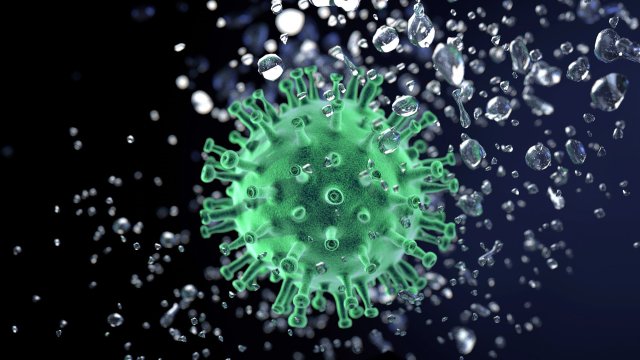 Както Ковид 19 така и други вирусни заболявания се разпространяват преимуществено
