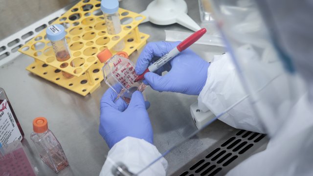 Вариантът Омикрон на коронавируса е открит засега в 38 страни